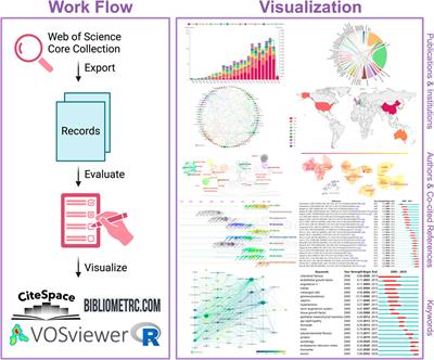 Focus on podocytes: diabetic kidney disease and renal fibrosis — a global bibliometric analysis (2000–2024)